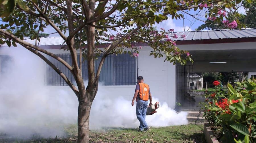 DENGUE OPERATIVOS 1