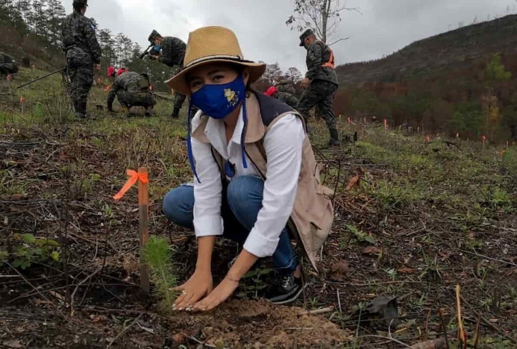 FOTO DÍA DEL ÁRBOL 2