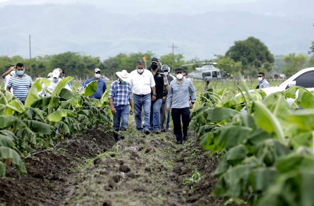 agrocredito1