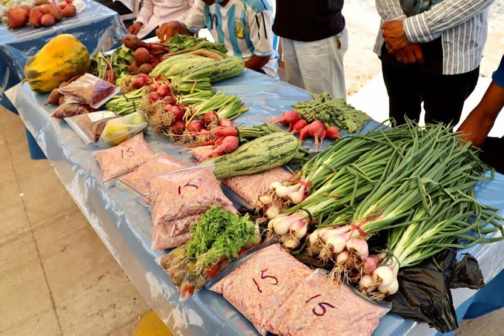 5. Las familias beneficiarias tienen conocimientos y tecnicas para alimentarse saludablemente.